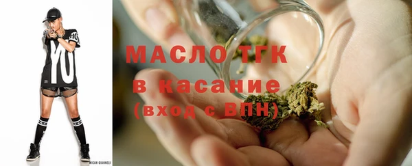 индика Струнино