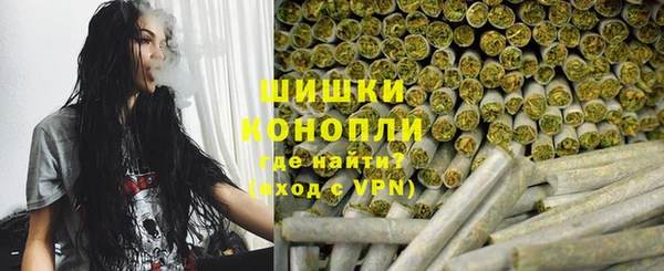 индика Струнино