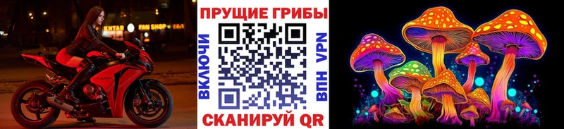 Купить закладки  Емва  Псилоцибиновые грибы Psilocybine cubensis 